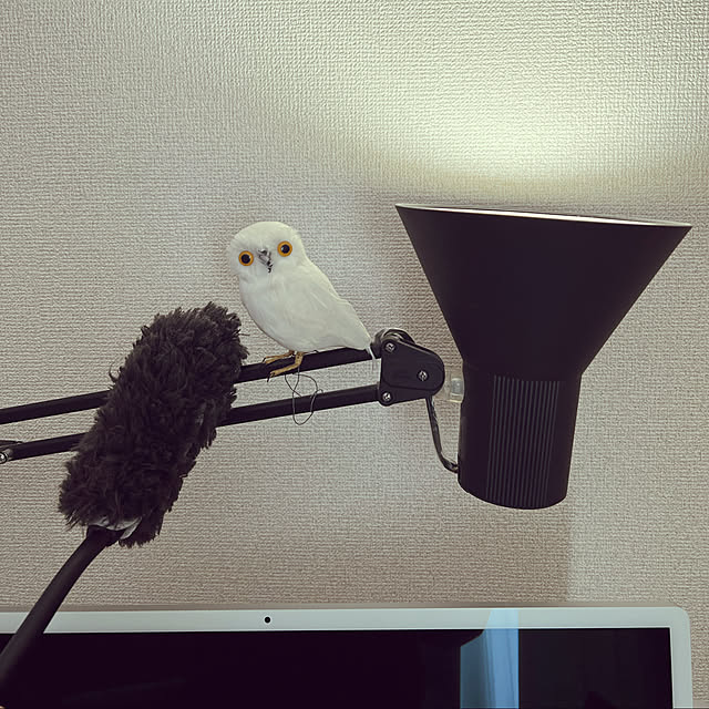 harukoさんの実例写真