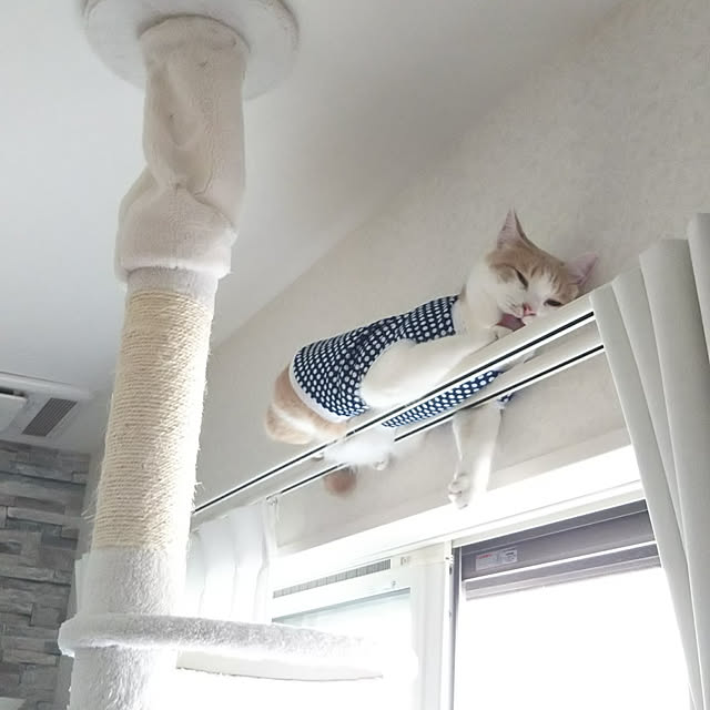 kaoriさんの実例写真