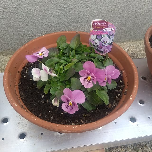 Rieさんの部屋