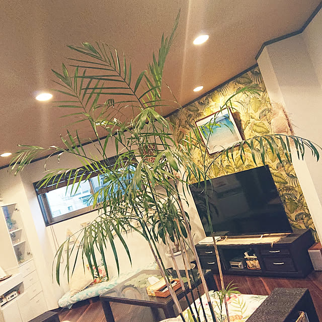 cocosorasakuさんの実例写真