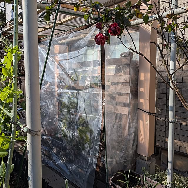 botanさんの実例写真