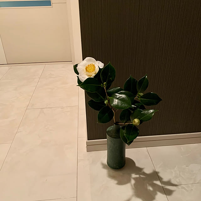 luluさんの実例写真