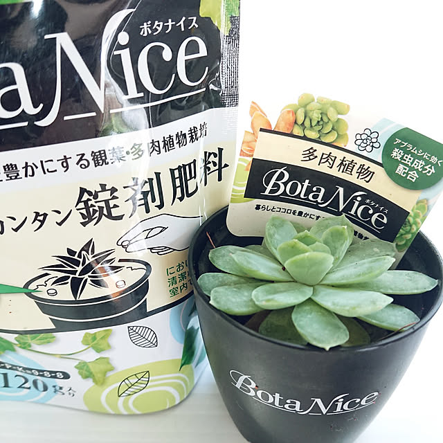 nachiさんの実例写真