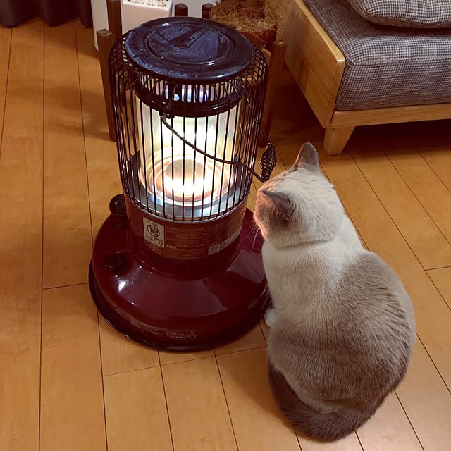 yukaringomushiさんの実例写真