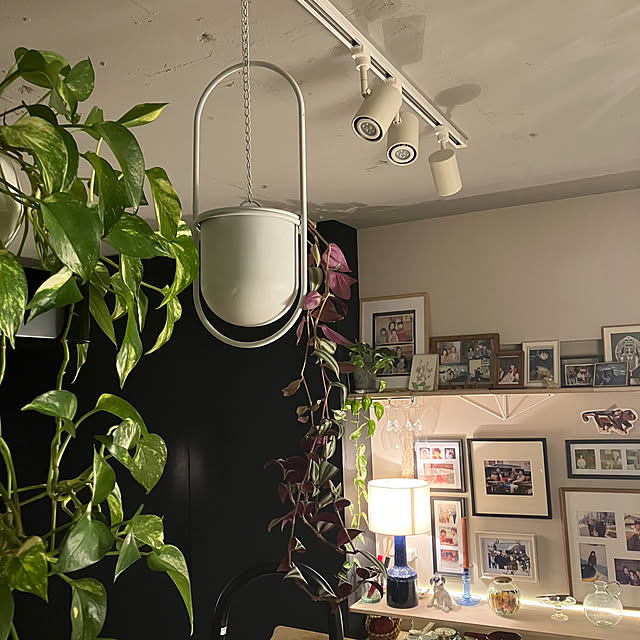 greenforestさんの部屋