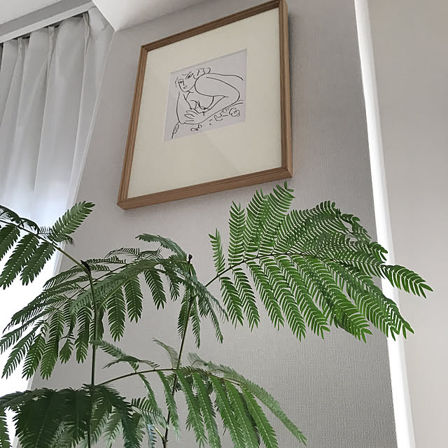 Lehuaさんの実例写真