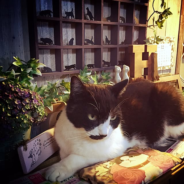 heeさんの実例写真