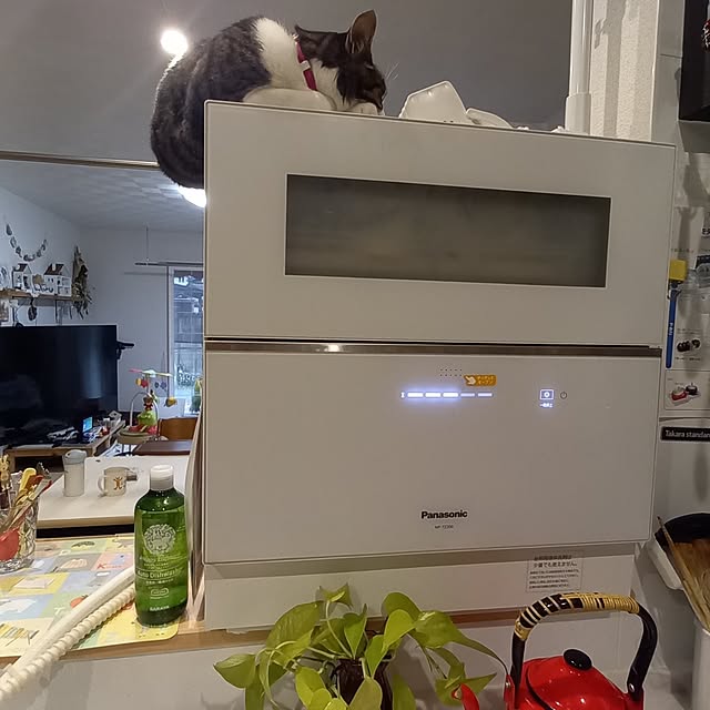 civicglさんの実例写真