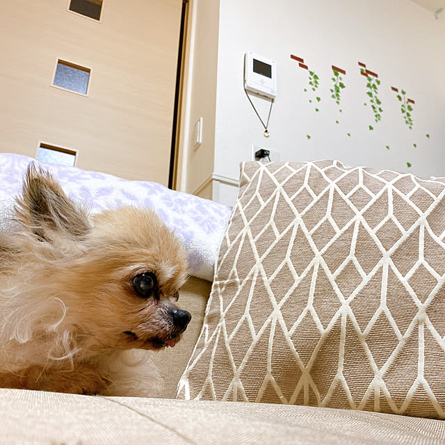 S.L.Kさんの実例写真