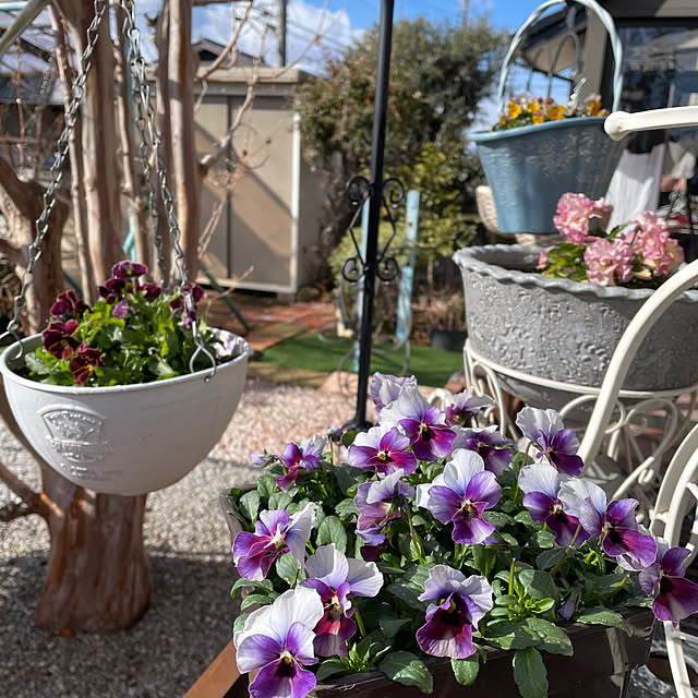 ronronさんの実例写真