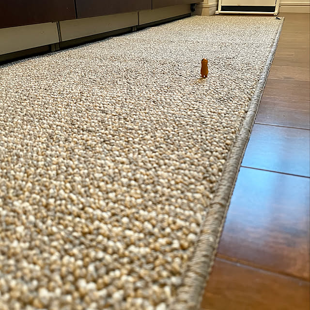 fukumaruさんの実例写真