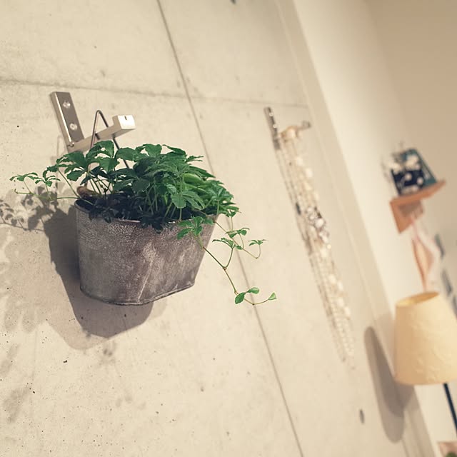 Nanakoさんの実例写真