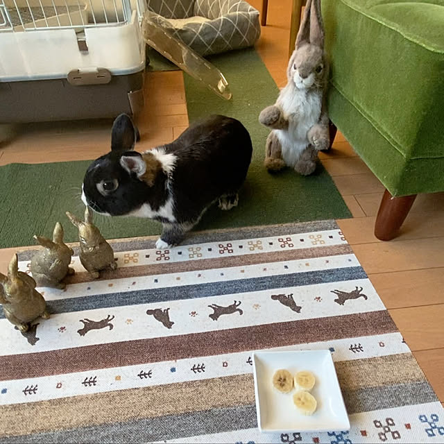 lanaさんの実例写真