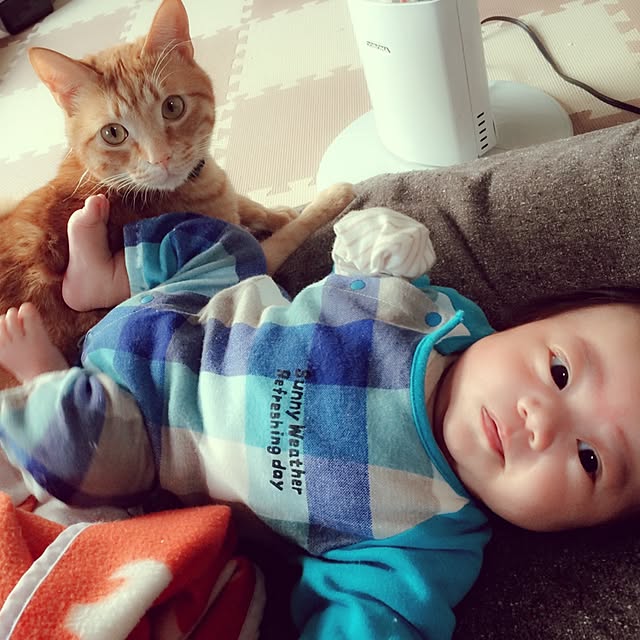 jdannabcさんの実例写真