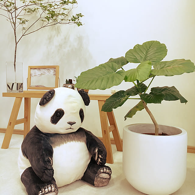 cocoさんの実例写真