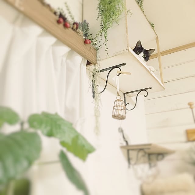 REINA612WORKSさんの実例写真