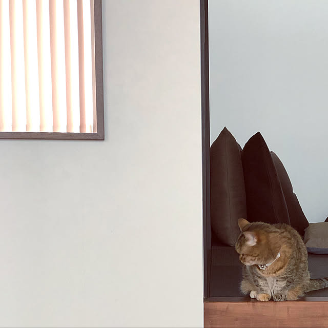 meloさんの実例写真