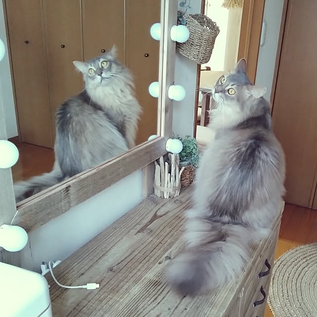 luke.solさんの実例写真