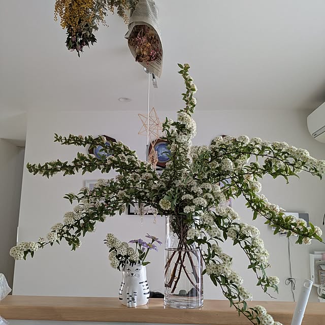 naoさんの実例写真