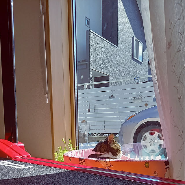 civicglさんの実例写真