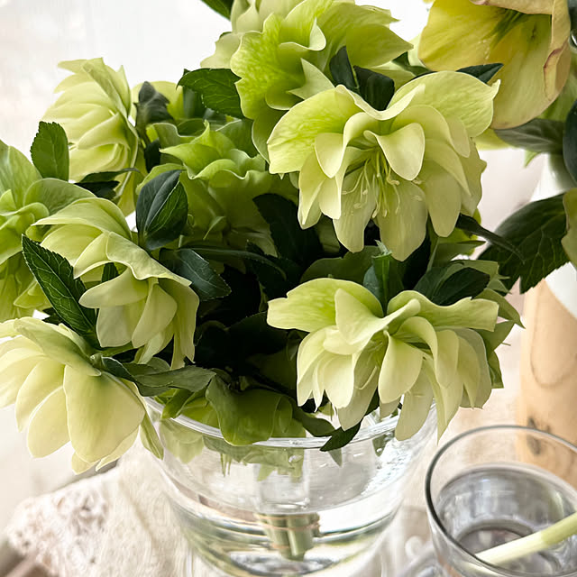 Chigusaさんの部屋