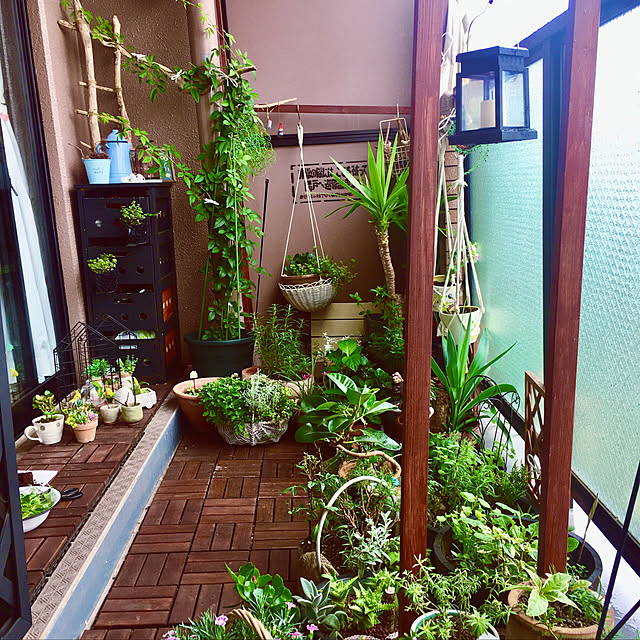 naokoさんの実例写真