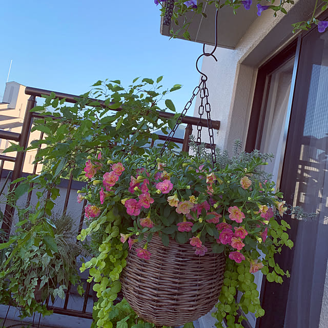 Tenさんの部屋
