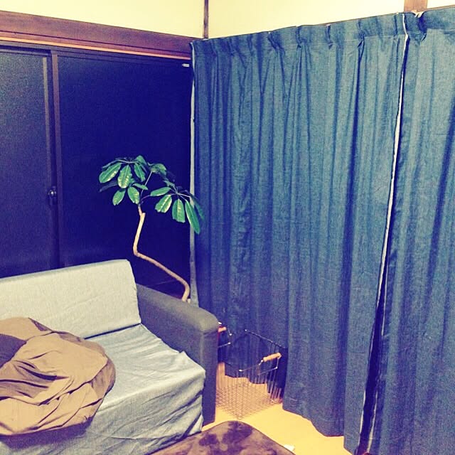 megさんの実例写真