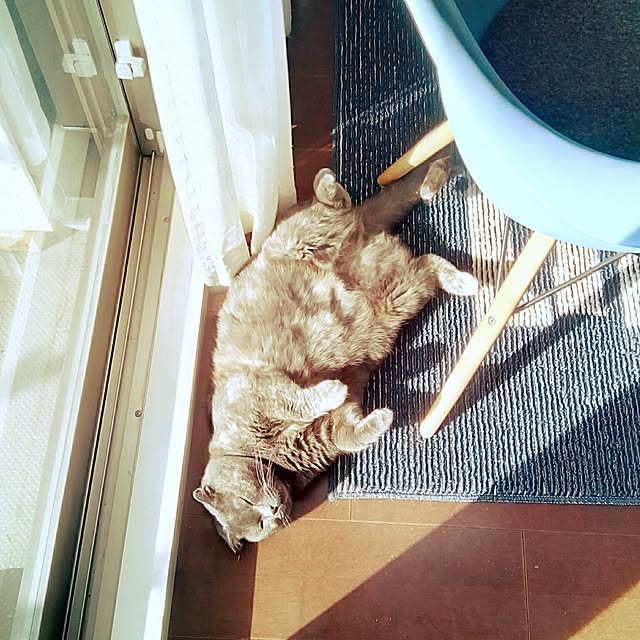 daiさんの実例写真