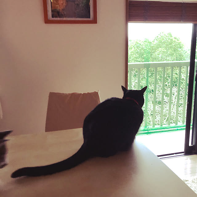jijiさんの実例写真