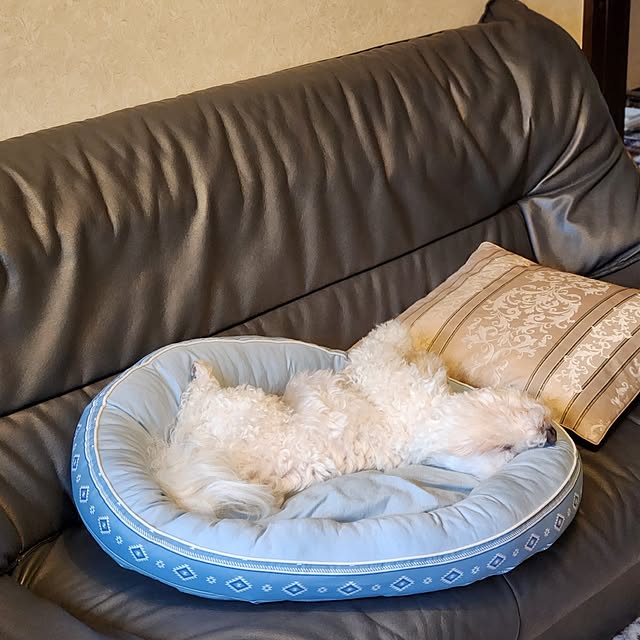 takoさんの部屋