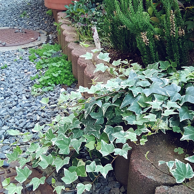 Renさんの実例写真