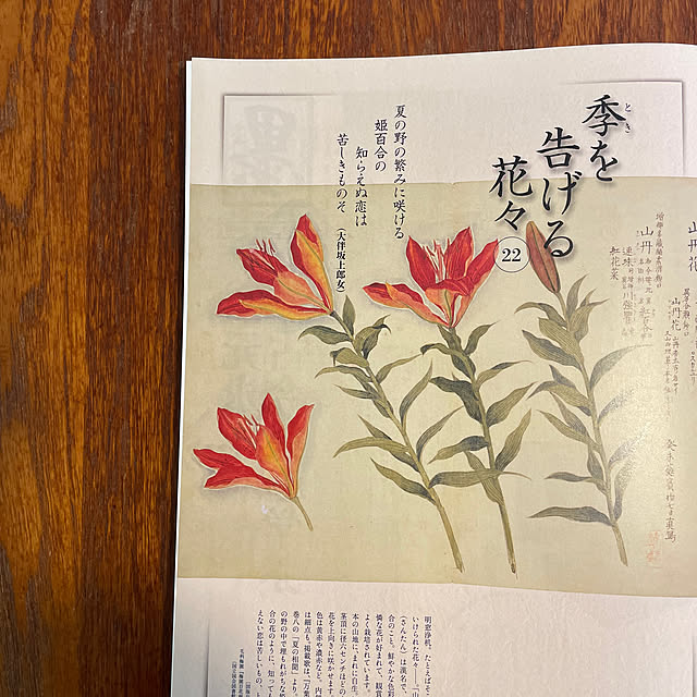 mamizaさんの部屋