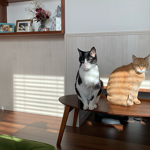 mikeume7さんの実例写真