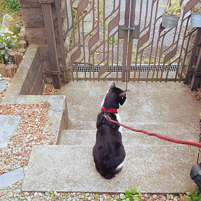 oseroさんの実例写真
