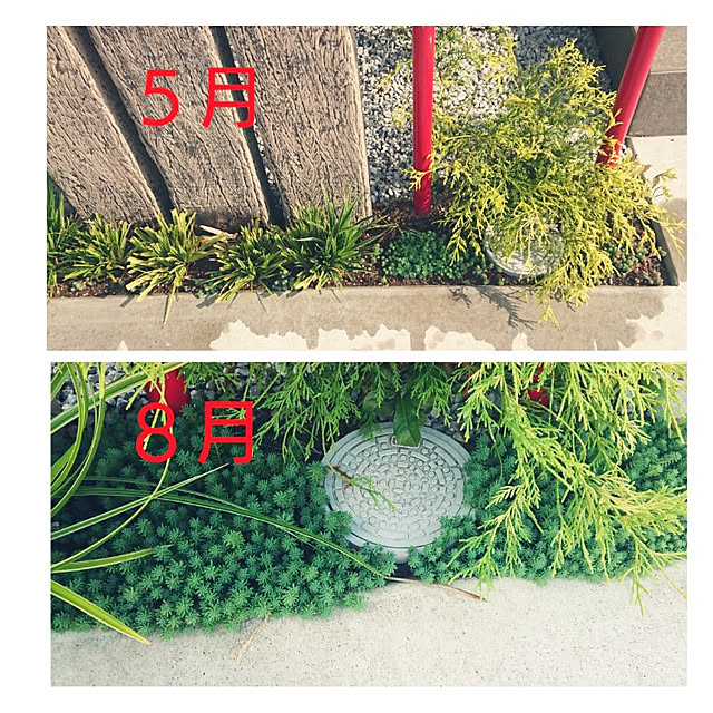 chinaminiさんの実例写真