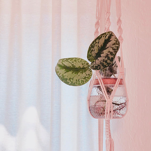 life-with-greenさんの実例写真