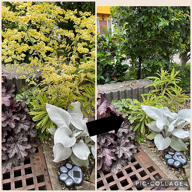 yukarin-gardenさんの実例写真
