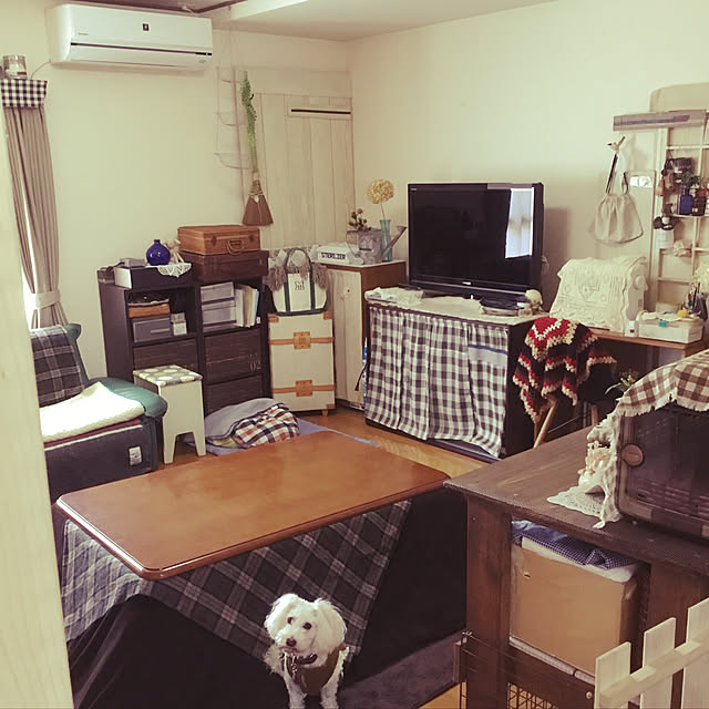 umeさんの実例写真