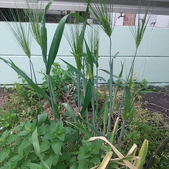 Rさんの部屋