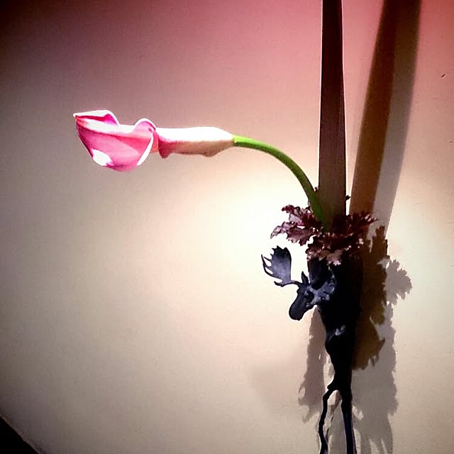 Gravityさんの実例写真