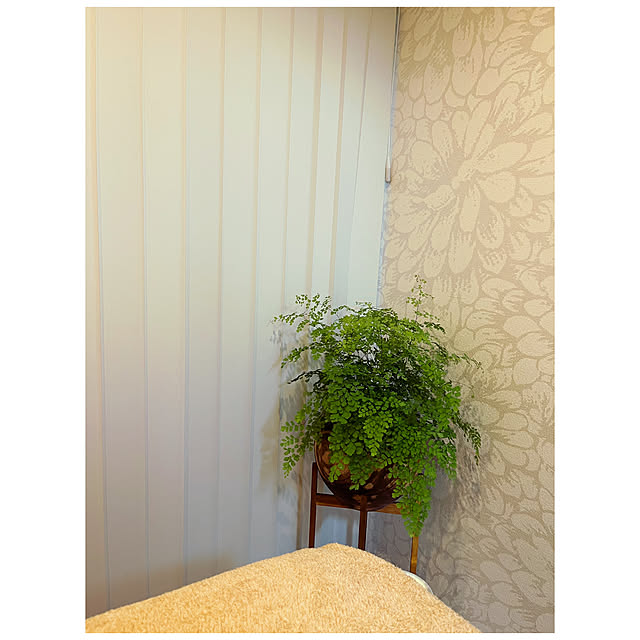 BTGさんの部屋