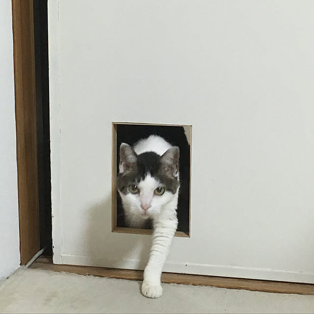 nerogaraginさんの実例写真