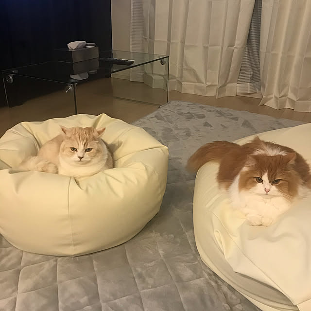 H.Tさんの実例写真