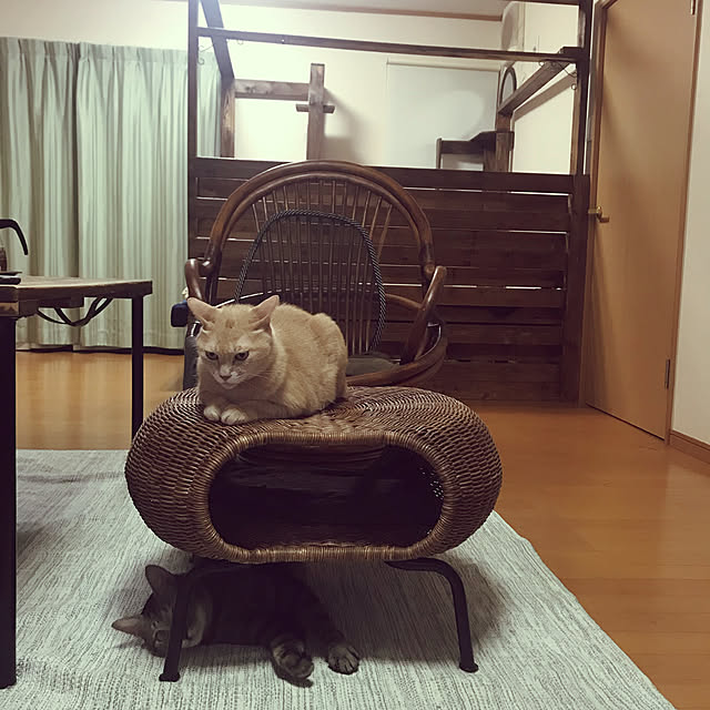 mikan161さんの実例写真