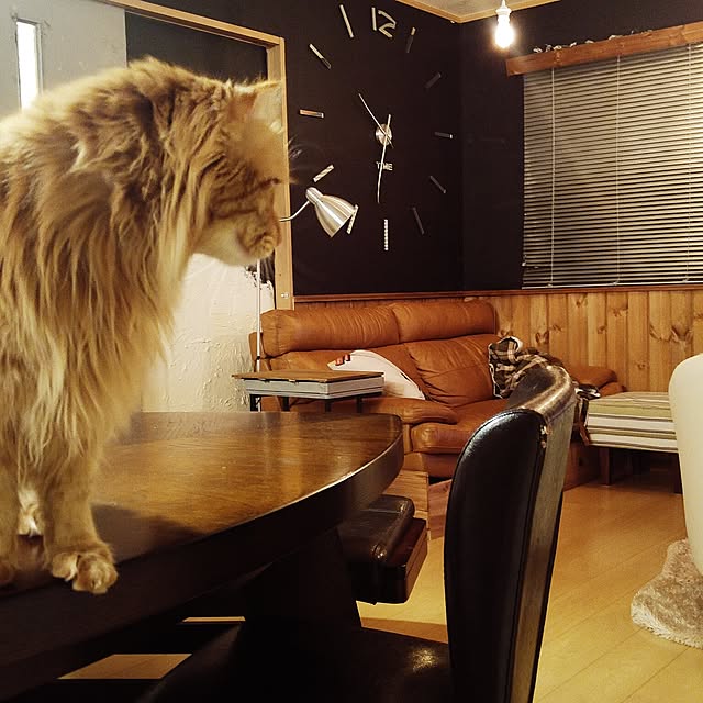 l..tomesanさんの実例写真