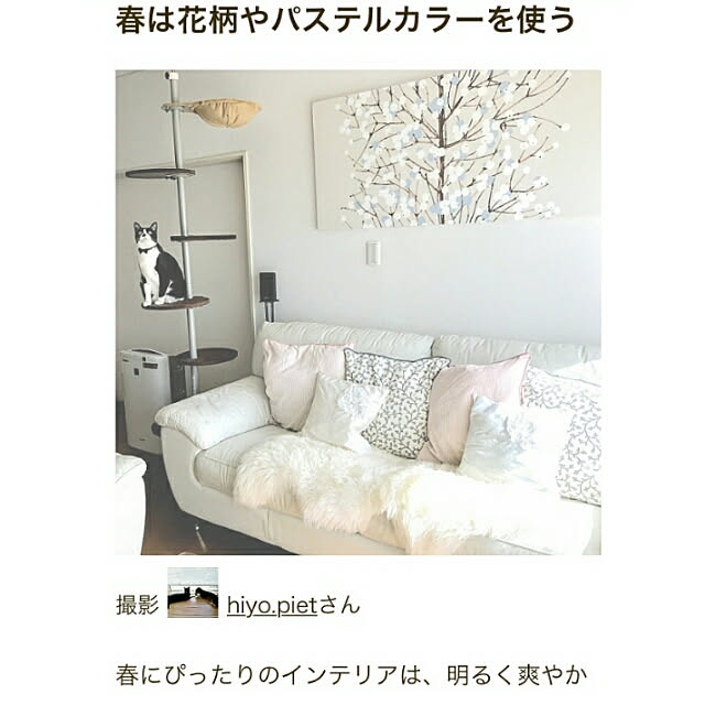 hiyo.pietさんの実例写真
