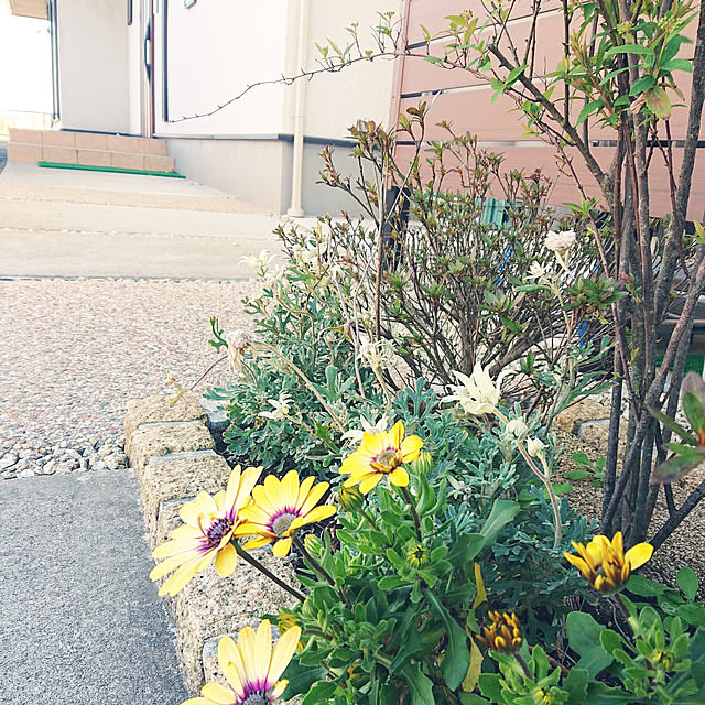 akeさんの実例写真