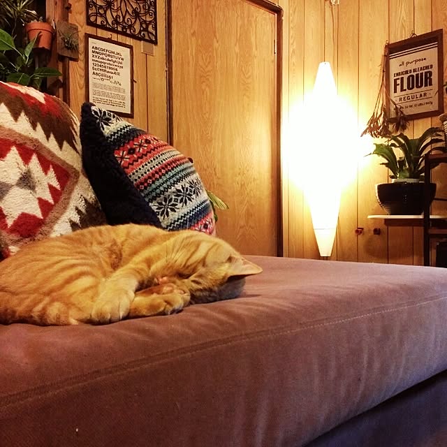 721さんの実例写真