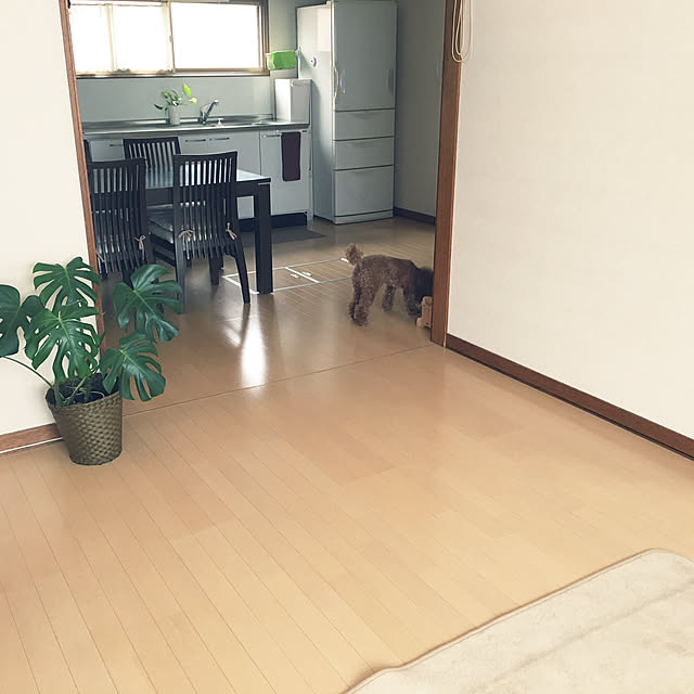 my_homeさんの実例写真